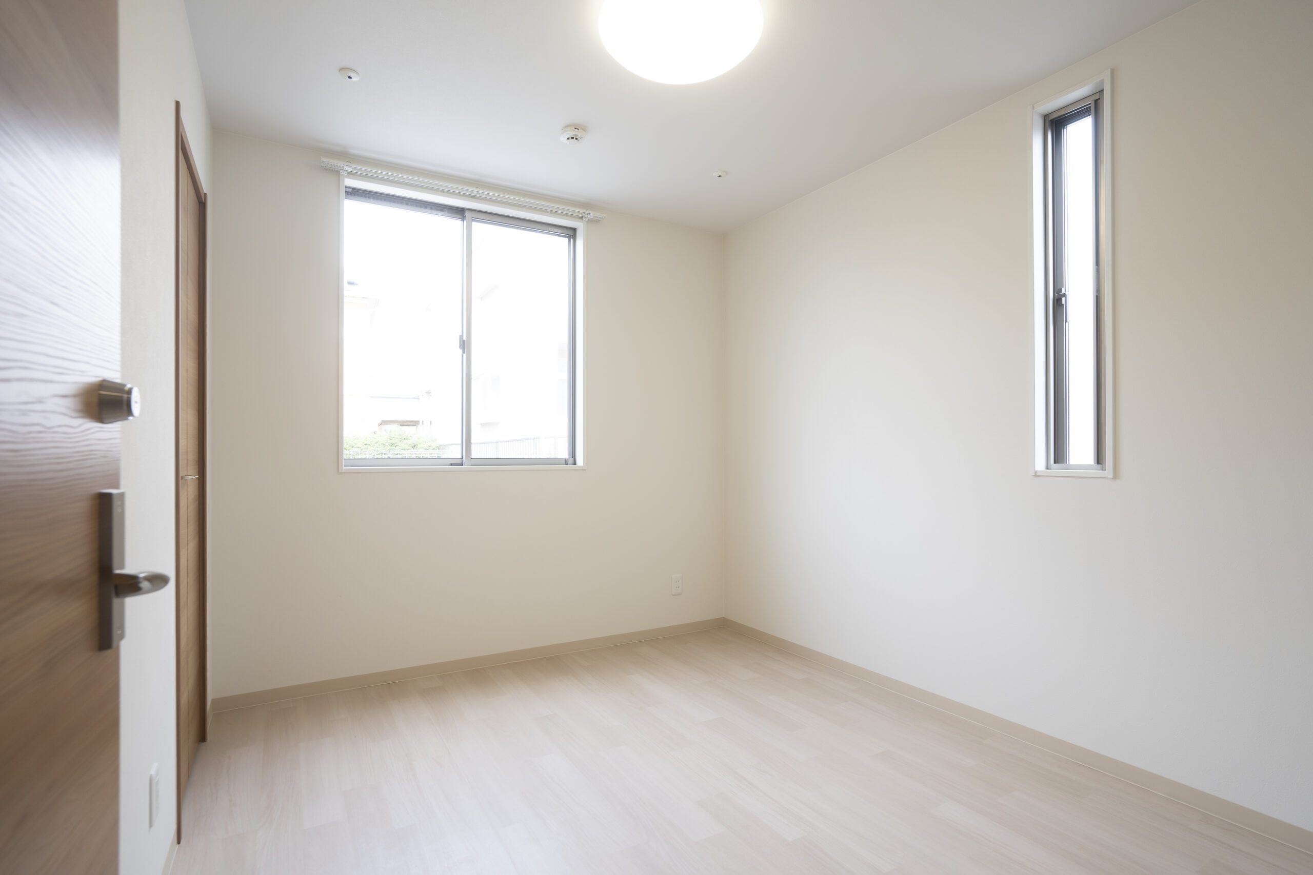 ひまわり・つばきα